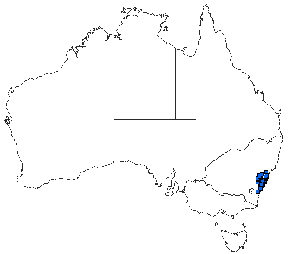 Australian distribution of Austroaeschna obscura