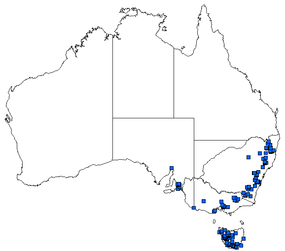 Australian distribution of Austroaeschna parvistigma