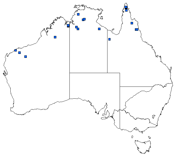 Australian distribution of Austrogomphus mjobergi