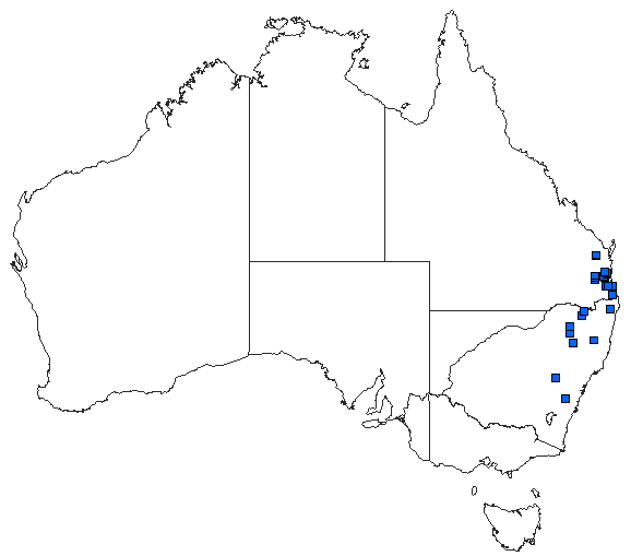 Australian distribution
