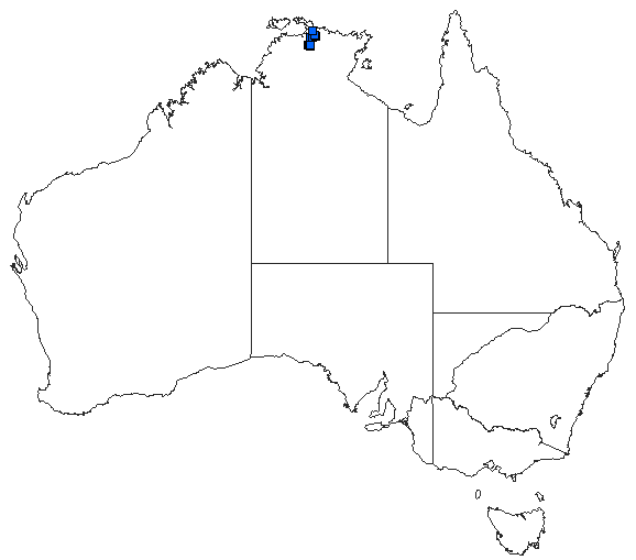 Australian distribution of Indolestes obiri
