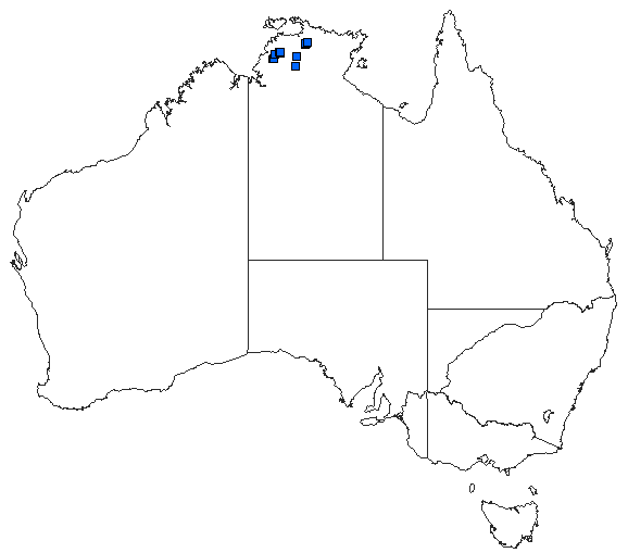 Australian distribution of Nososticta baroalba