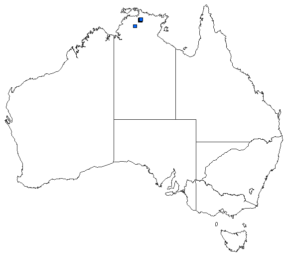 Australian distribution of Nososticta koongarra