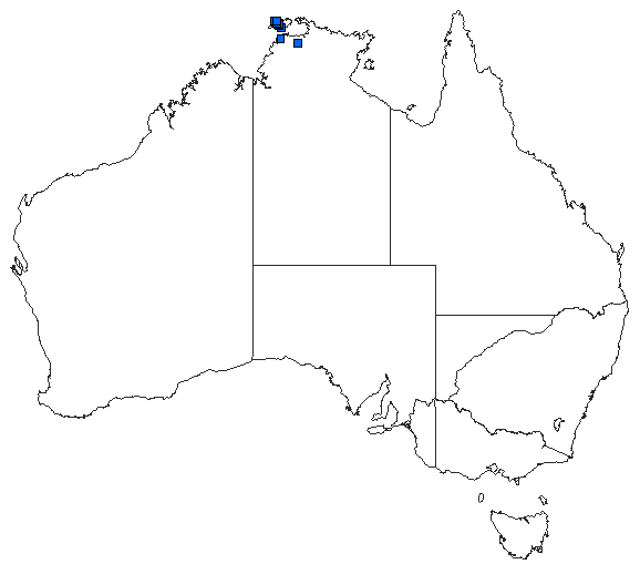 Australian distribution of Nososticta taracumbi