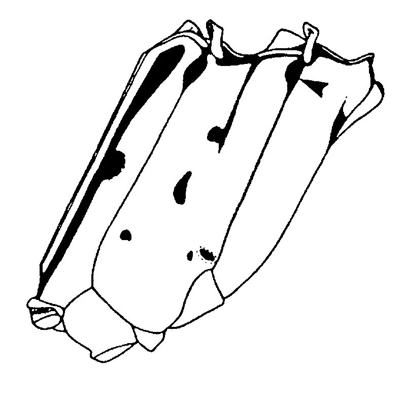 couplet drawing