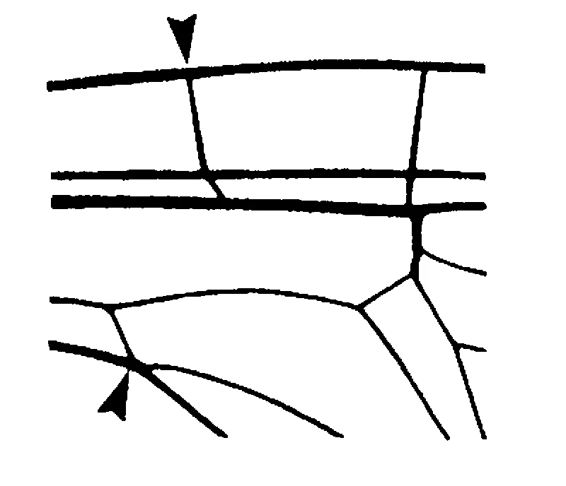 couplet drawing