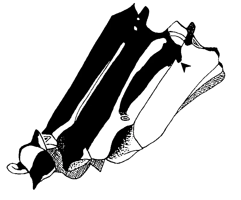 couplet drawing