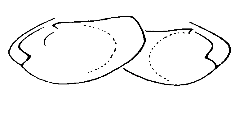 couplet drawing