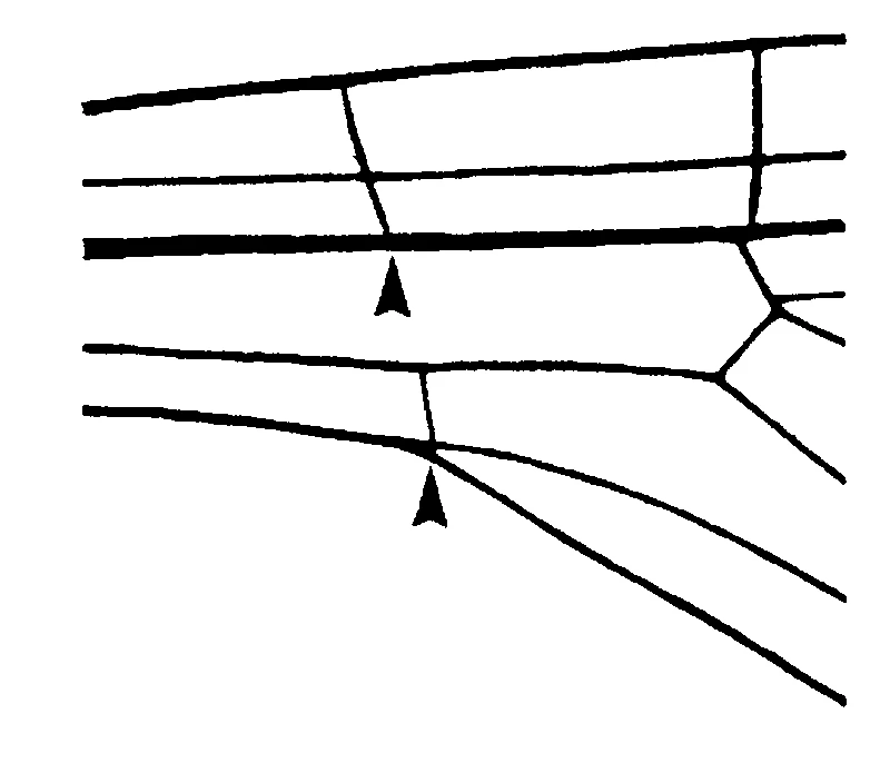couplet drawing