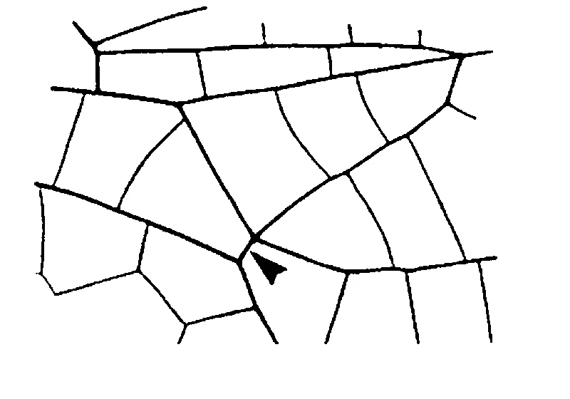 couplet drawing