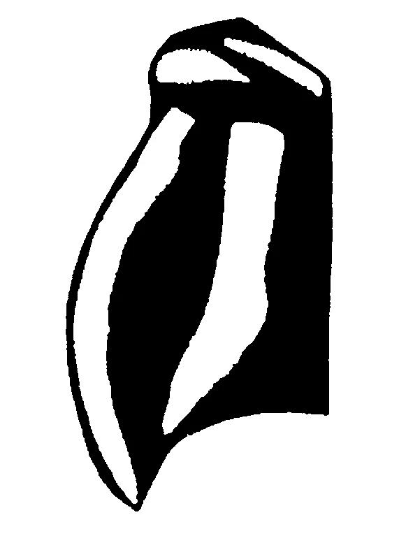 couplet drawing