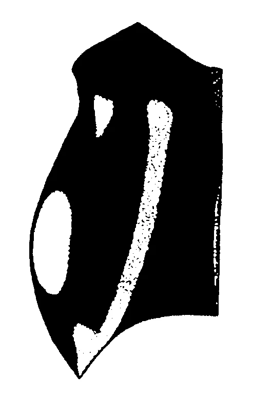 couplet drawing