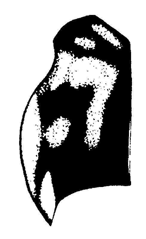 couplet drawing