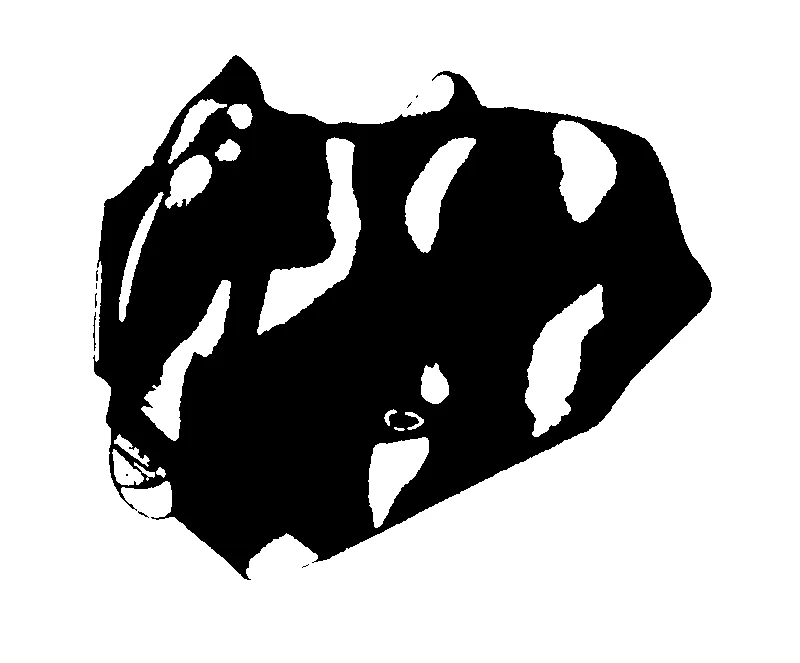 couplet drawing