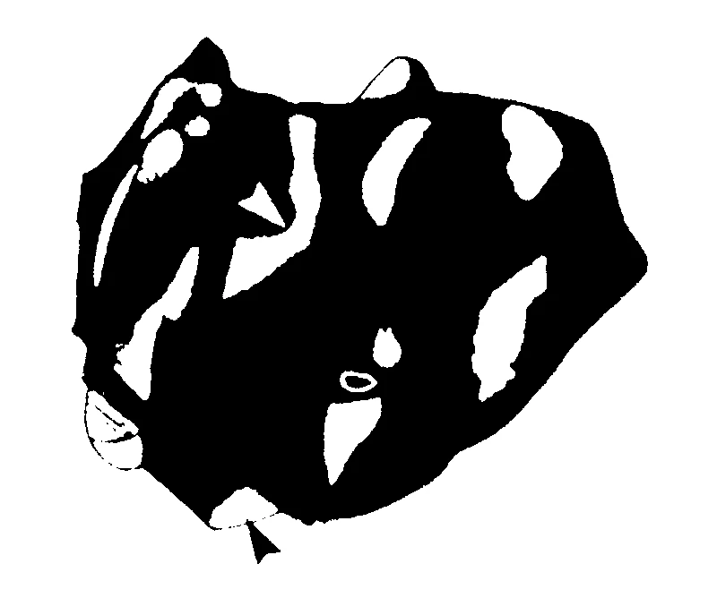 couplet drawing