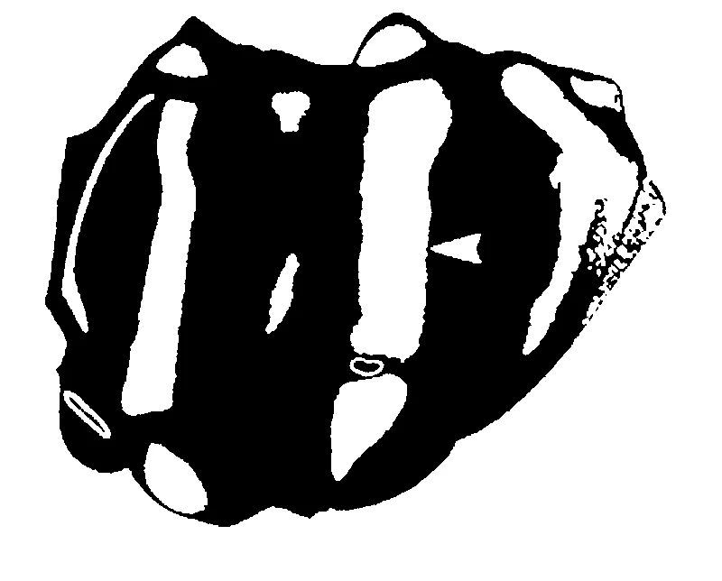 couplet drawing