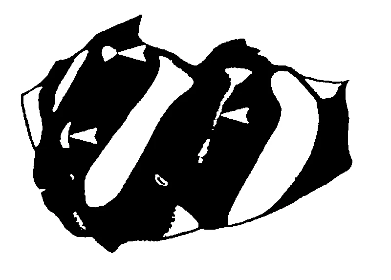 couplet drawing