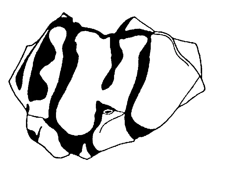 couplet drawing