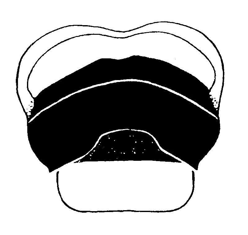 couplet drawing
