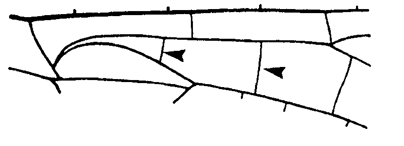 couplet drawing