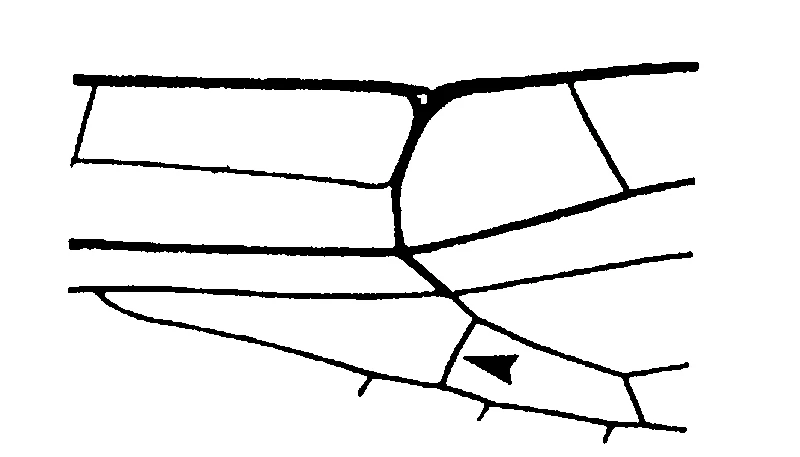couplet drawing