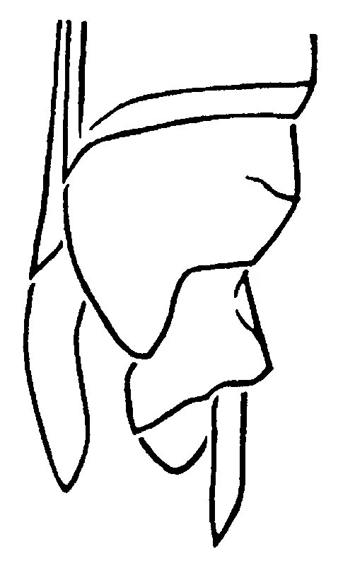 couplet drawing