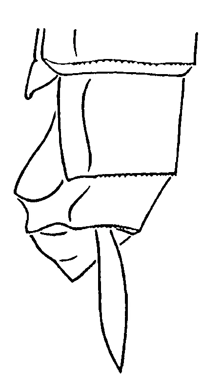 couplet drawing