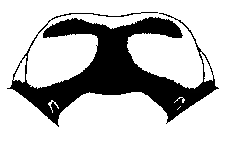 couplet drawing