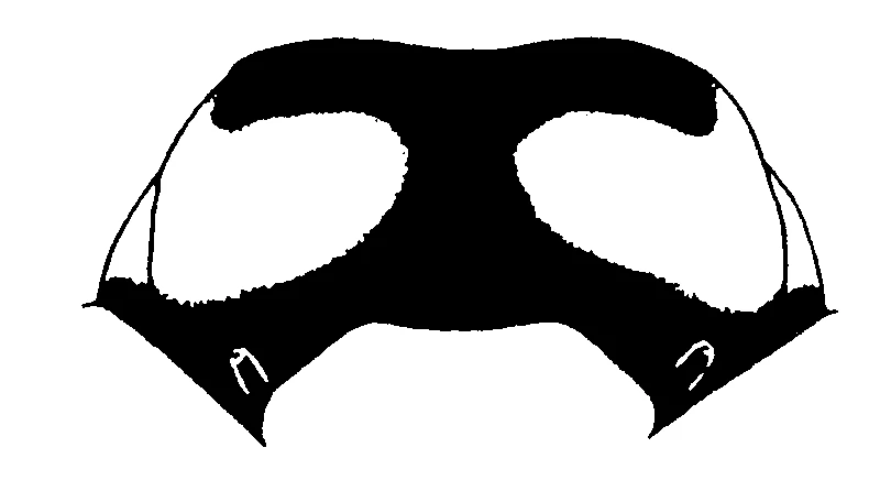 couplet drawing