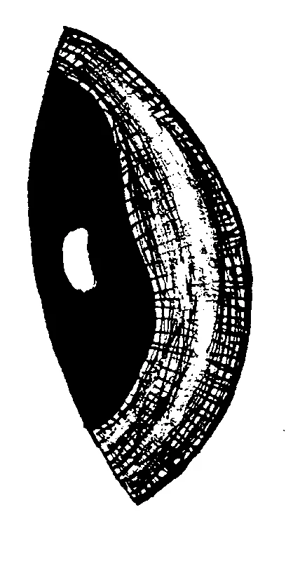 couplet drawing