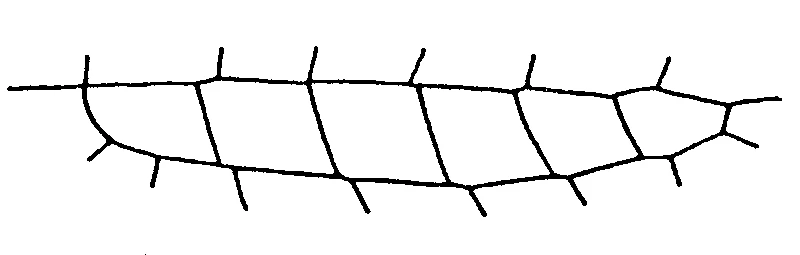 couplet drawing