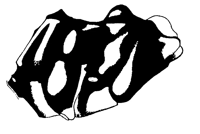 couplet drawing