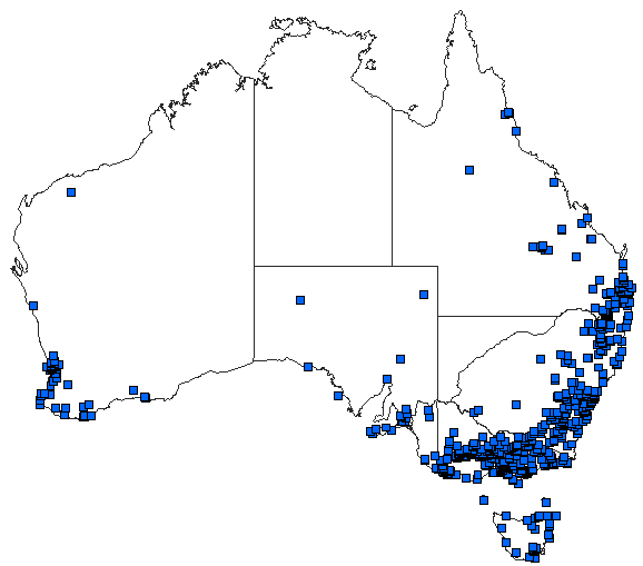 Australian distribution of Adversaeschna brevistyla
