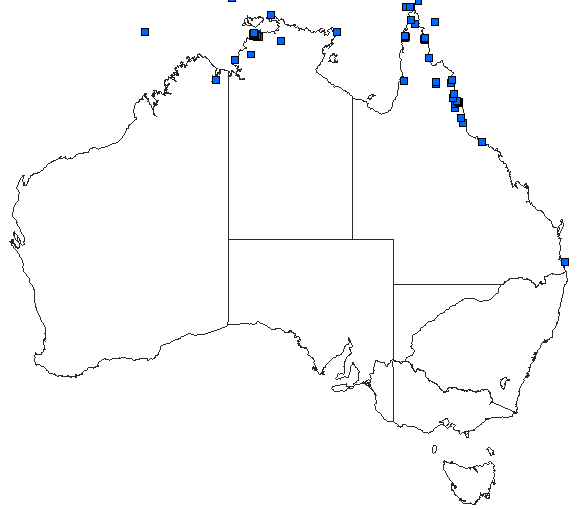 Australian distribution of Anax guttatus