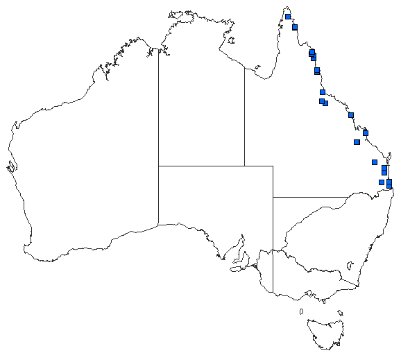 Australian distribution of Antipodogomphus proselythus