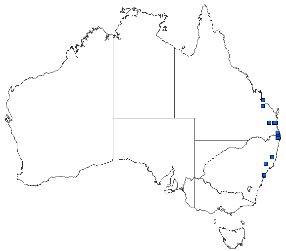 Australian distribution of Antipodophlebia asthenes