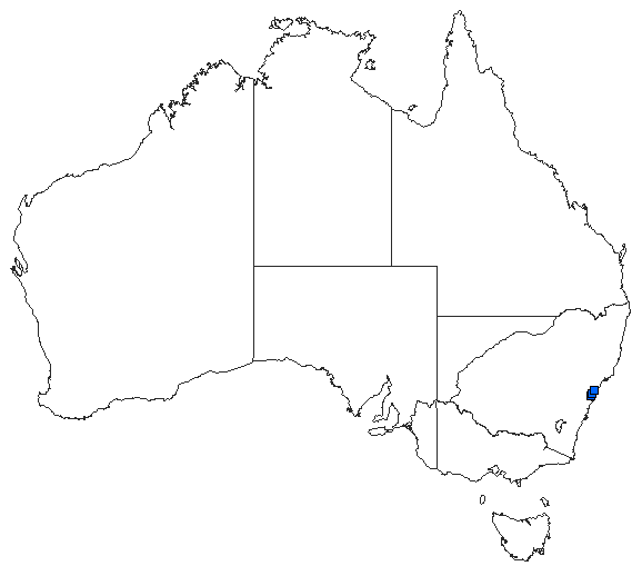 Australian distribution of Archaeophya adamsi