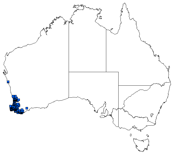 Australian distribution of Archiargiolestes pusillus