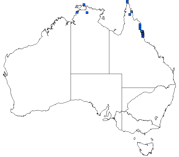 Australian distribution of Archibasis mimetes