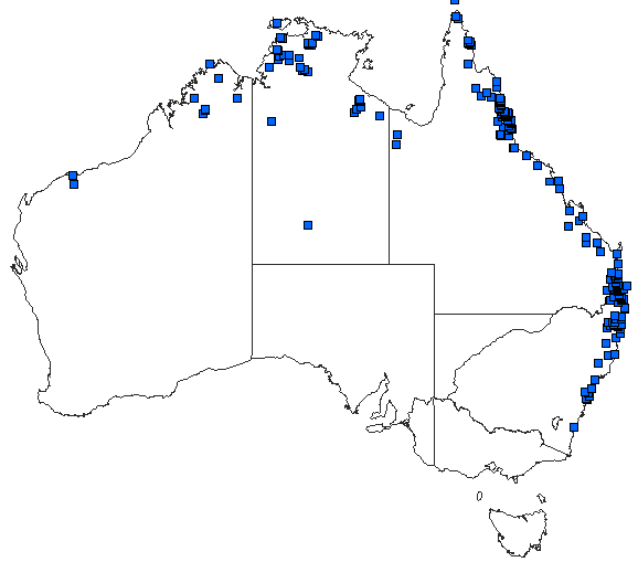 Australian distribution of Argiocnemis rubescens