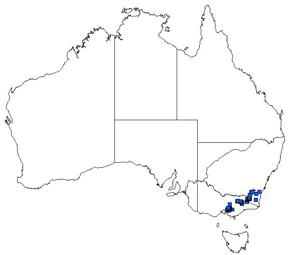 Australian distribution