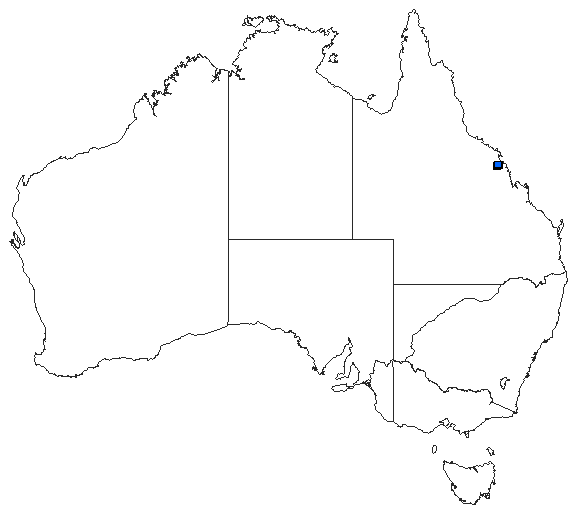Australian distribution of Austroaeschna christine