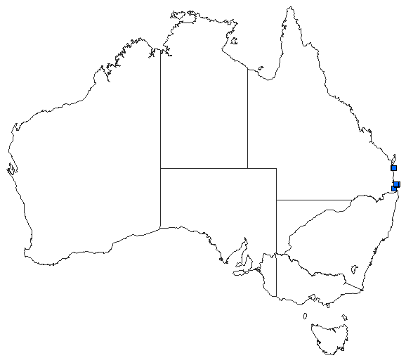Australian distribution of Austroaeschna cooloola