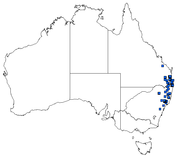 Australian distribution of Austroaeschna sigma
