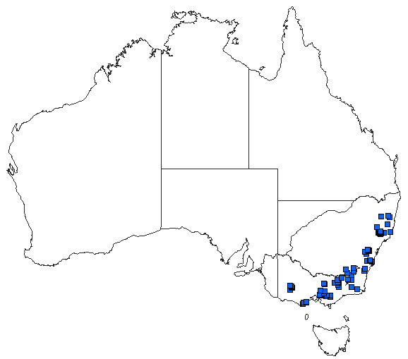 Australian distribution of Austroaeschna subapicalis