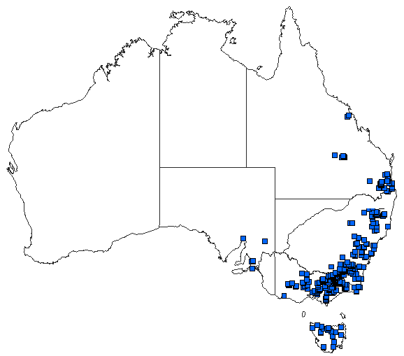 Australian distribution of Austroaeschna unicornis