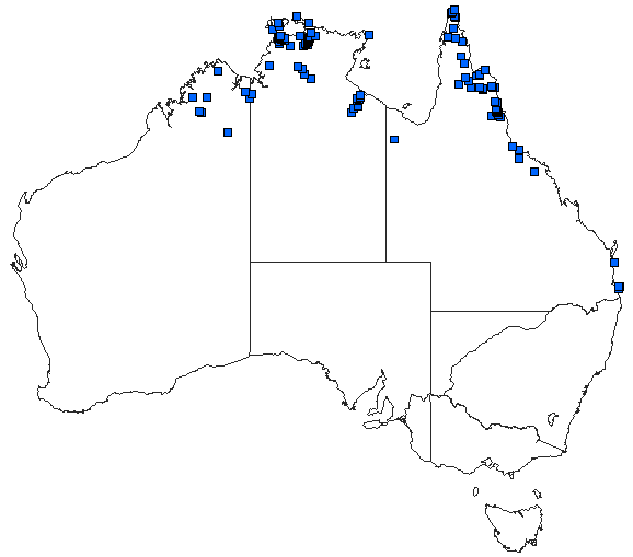 Australian distribution of Austroagrion exclamationis