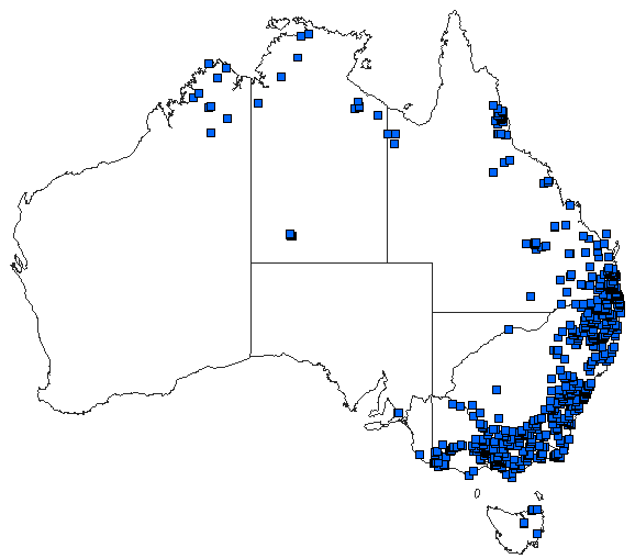 Australian distribution of Austroagrion watsoni