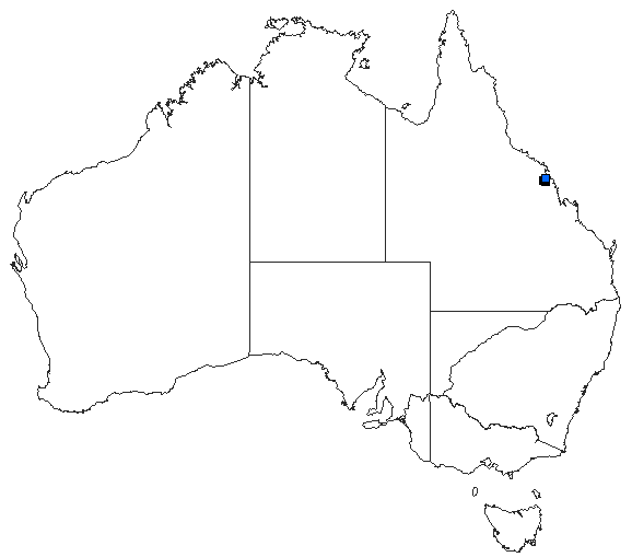 Australian distribution of Austroargiolestes elke