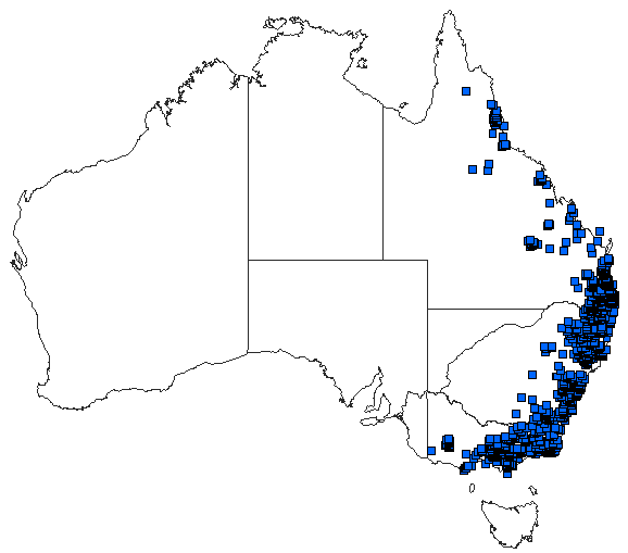 Australian distribution of Austroargiolestes icteromelas